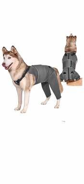 OneTigris PAWREST Dog Recovery Suit for Hind Legs, Size XL, Gray